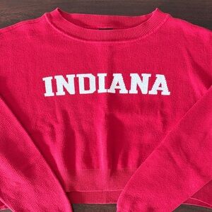 Hype and Vice Red Indiana Ivy Cropped Sweater (size small)